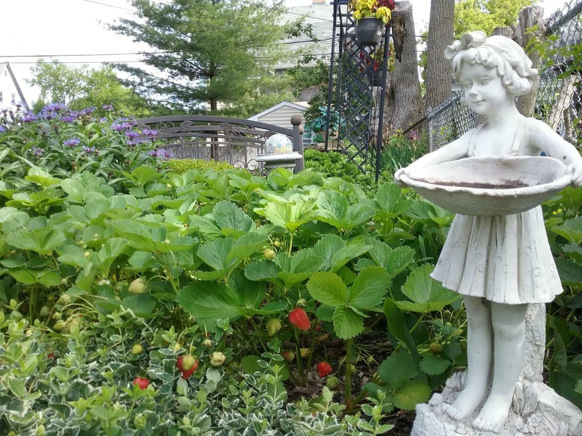 Hanover House Bed And Breakfast Niagara Falls Bagian luar foto