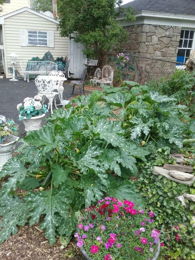 Hanover House Bed And Breakfast Niagara Falls Bagian luar foto